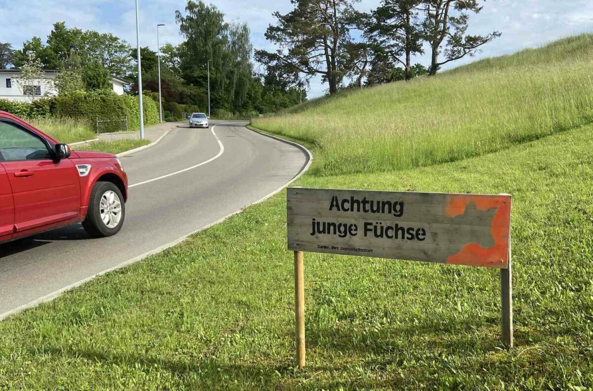Warntafel vor Füchsen an der Bergstrasse