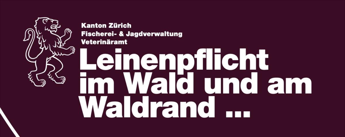 Flyer Hunde an die Leine