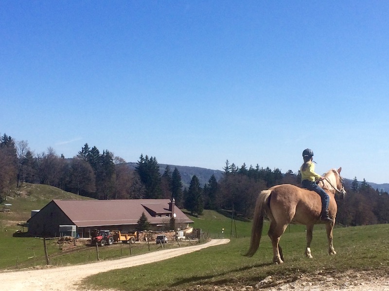 Stilleben im Jura