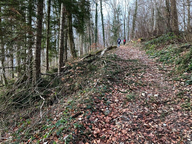 Die letzten Meter vor dem Gipfel