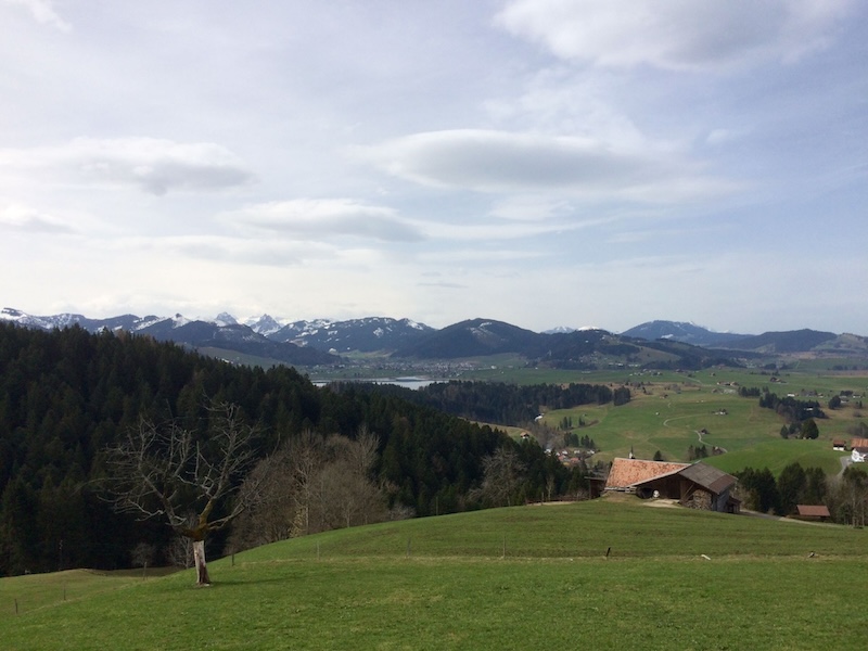 Es ist hübsch auf der Chörnlisegg…