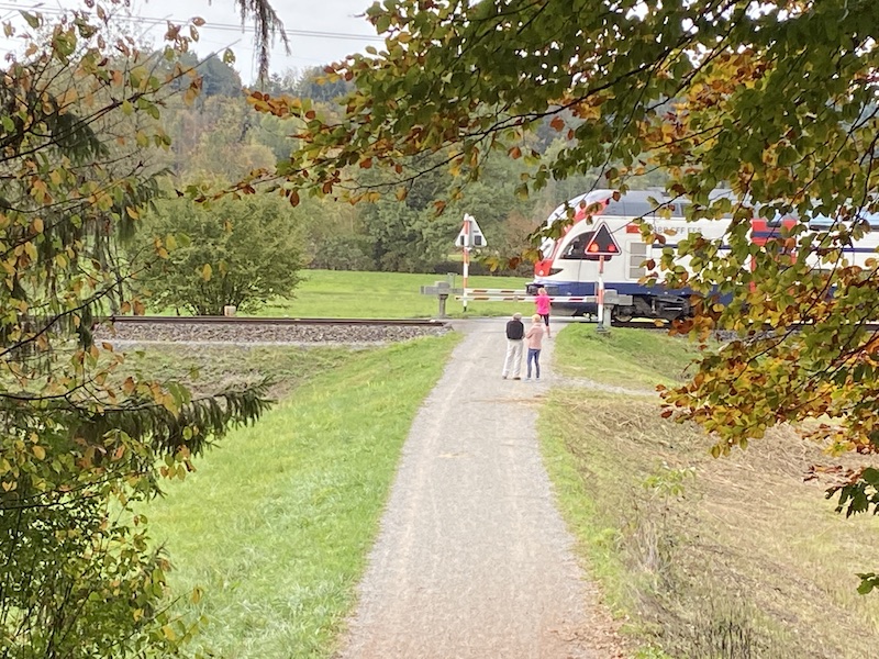 Durchbrausende S-Bahn