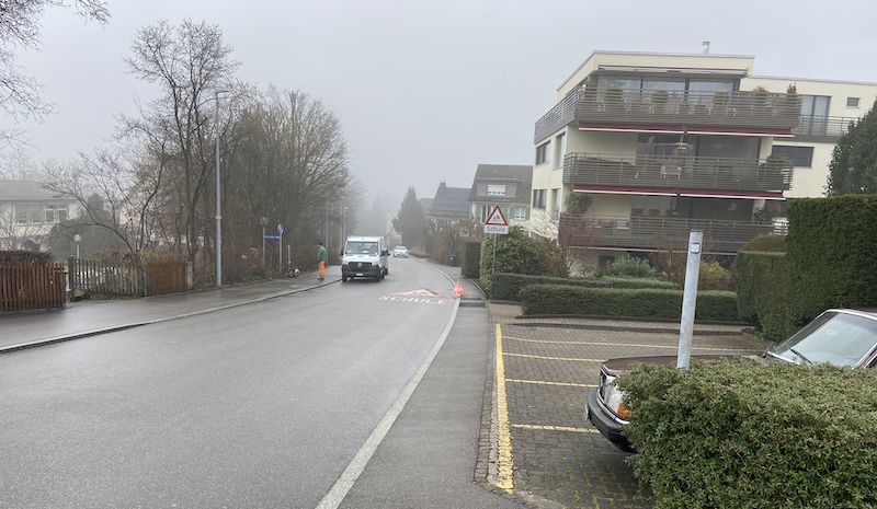 Die Rüterwiesstrasse im Zollikerberg (Foto: ZN)