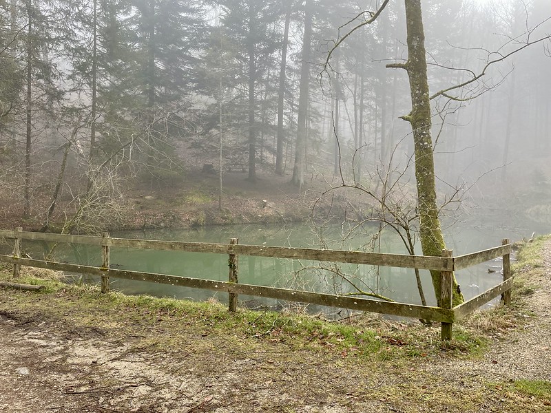 2 Der Etelweiher, ein verträumtes Waldgewässer