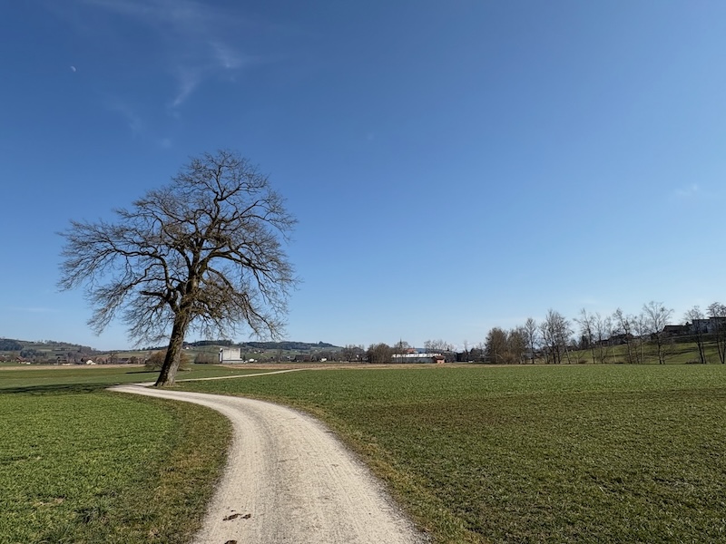 Die Zielkurve
