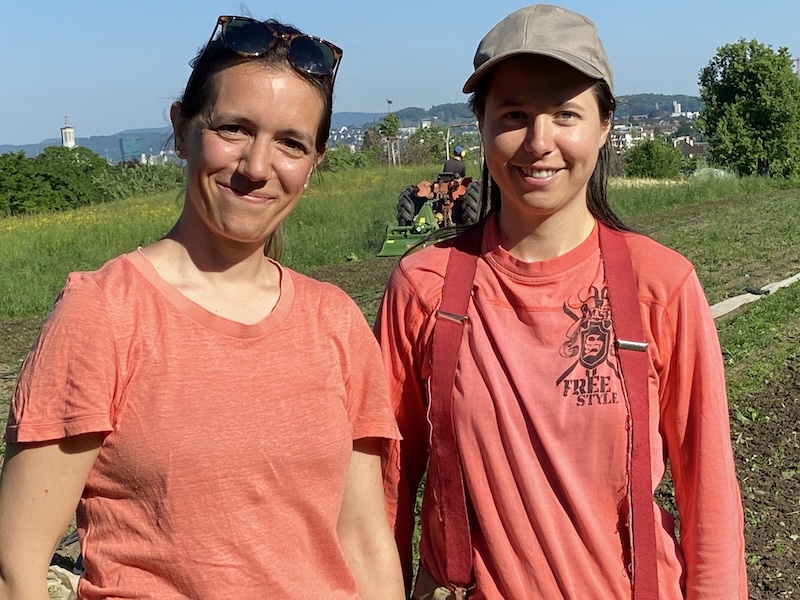 Isa und Silvia auf dem Acker Wynegg (Fotos: ZN / zVg)