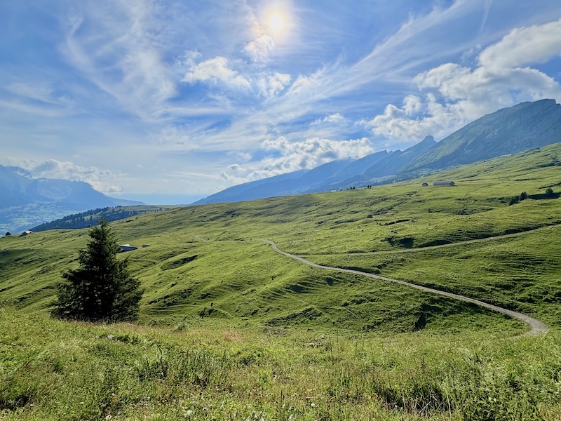 Der Toggenburger Höhenweg