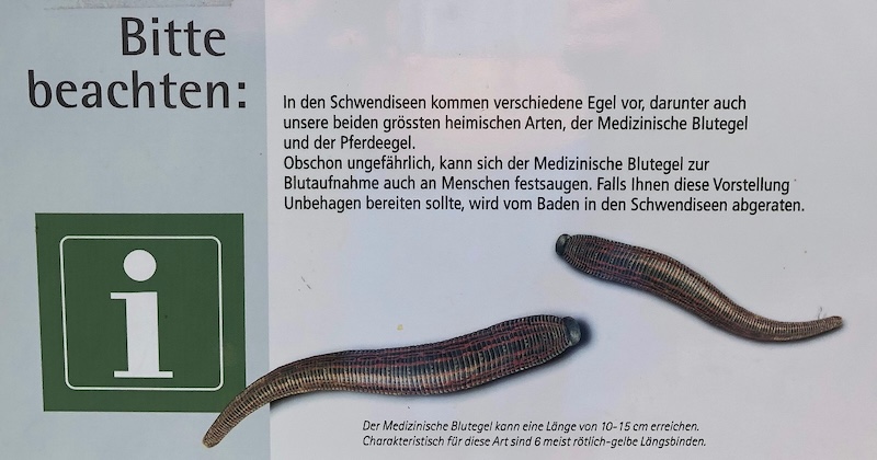 Warnung vor dem Egel!