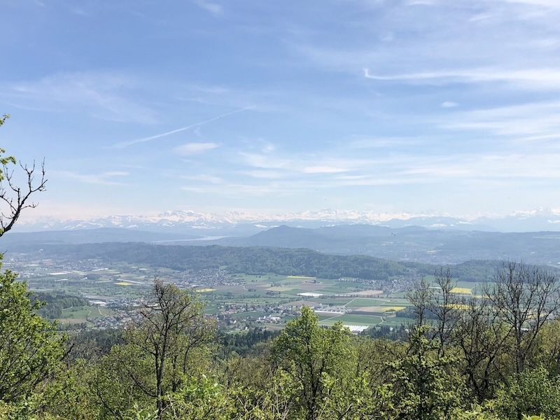 Schöner See- und Alpenblick gegen Süden