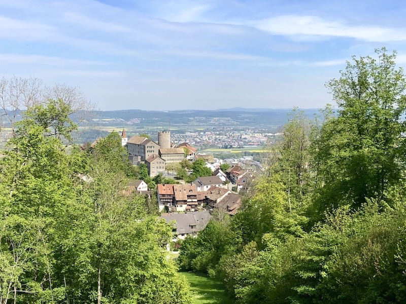 Regensberg mit seinem markanten Rundturm