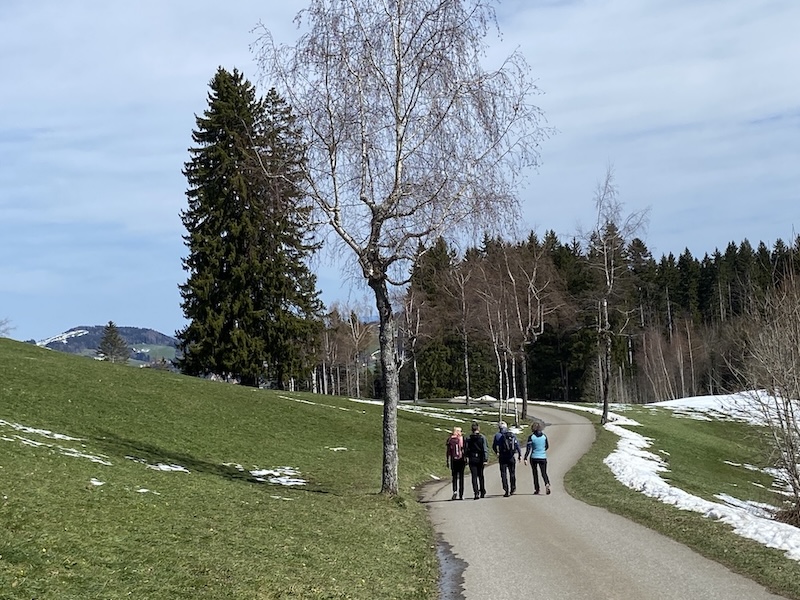 …und dann geht es gemächlich bergab