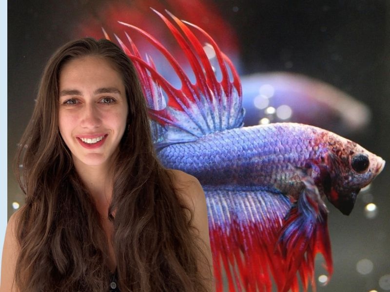 Sabrina Dichne mit Kampffisch (Foto-Collage: ZN)